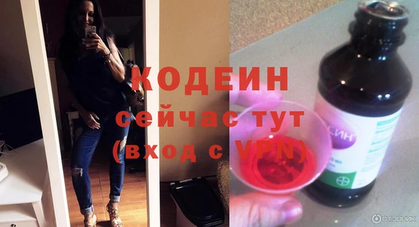 индика Елабуга