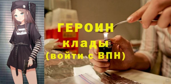 индика Елабуга