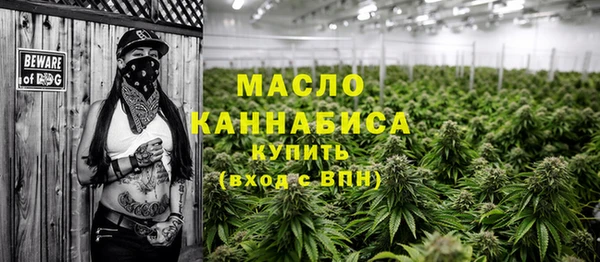 индика Елабуга