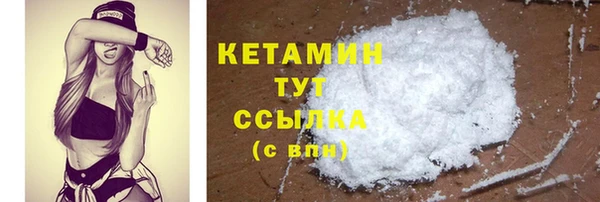 индика Елабуга