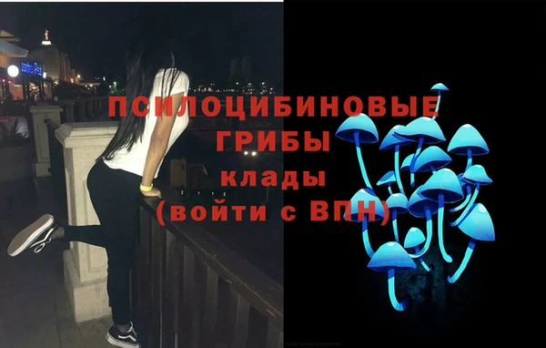 Альфа ПВП Заводоуковск