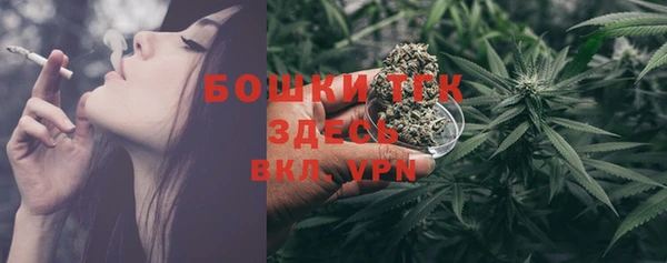 индика Елабуга