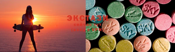 индика Елабуга