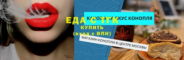 индика Елабуга