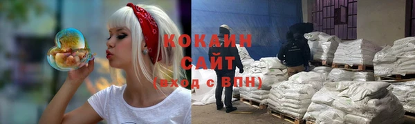 индика Елабуга