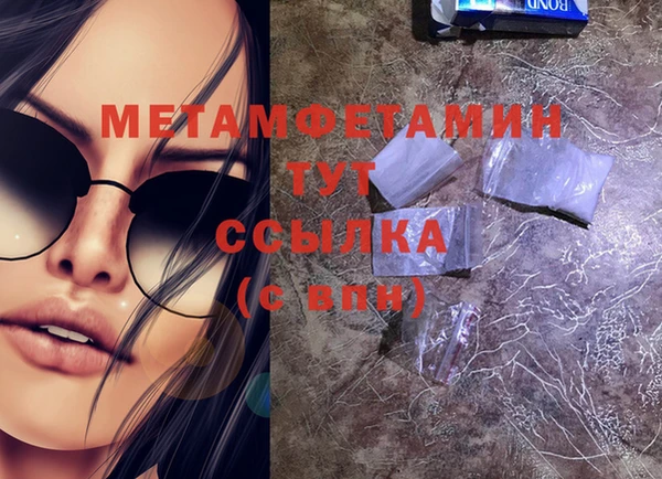 индика Елабуга