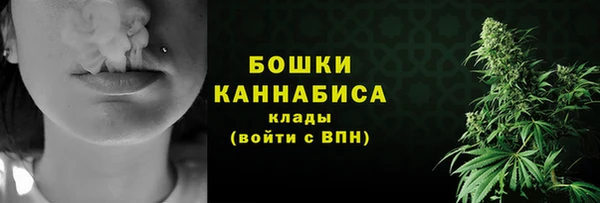 индика Елабуга