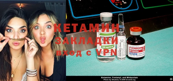 индика Елабуга