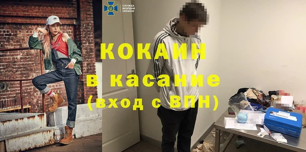 индика Елабуга