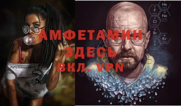индика Елабуга