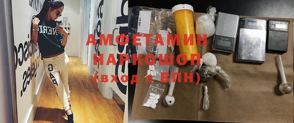индика Елабуга