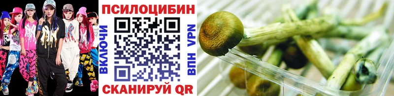 Купить  Лаишево  Галлюциногенные грибы Psilocybe 